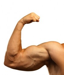 Trening Na Mase Biceps Plecy