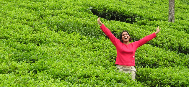 Bioaktywne składniki zawarte w herbacie chronią przed objawami przeziębienia i grypy
