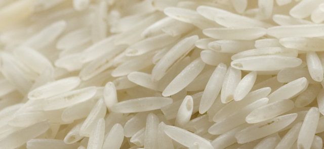 Dlaczego akurat ryż?