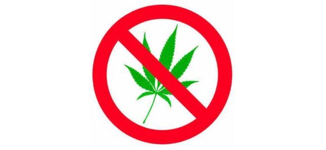 Marihuana, stres i kortyzol – interesująca zależność