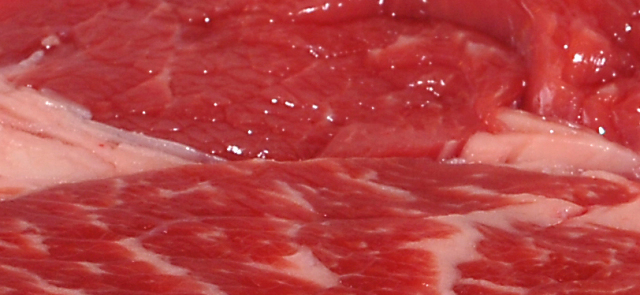 Jak powinna wyglądać przemyślana dieta proteinowa?