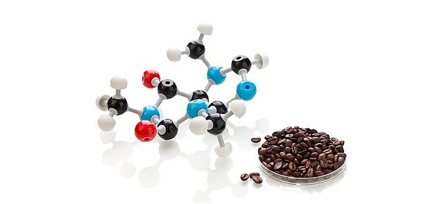 Alkaloidy w żywności – czym są i jak wpływają na organizm?