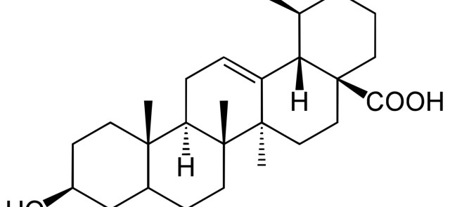 Kwas ursolowy – związek o potencjale anabolicznym naturalnie występujący w żywności