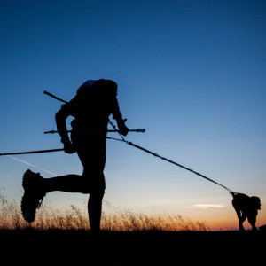 Czy spacer z psem to aktywność fizyczna? Czym jest Dogtrekking?