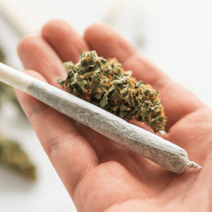 Marihuana, stres i kortyzol – interesująca zależność