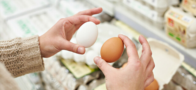 Jakie jajka najlepiej kupować? Jak czytać oznaczenia na jajkach?