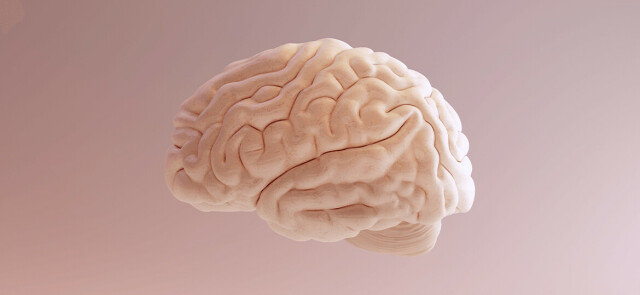Jakich produktów unikać, żeby zachować zdrowie mózgu?