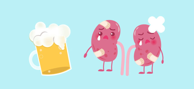 Jak alkohol wpływa na nerki?