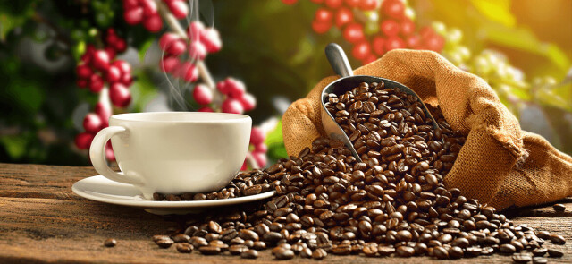 Co bardziej pobudza – guarana czy kawa?