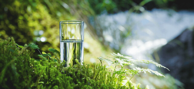 Wody mineralne jako źródło wapnia i magnezu