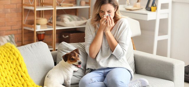 Co może powodować alergię i uczulać w domu?