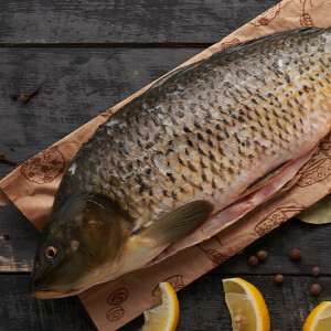 Czy karp jest tłusty? Świąteczny mit kontra fakty