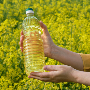 Olej rzepakowy czy słonecznikowy — na czym lepiej smażyć?